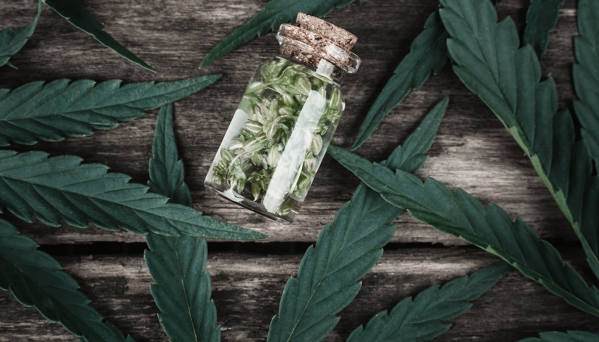 Potaround – Northview