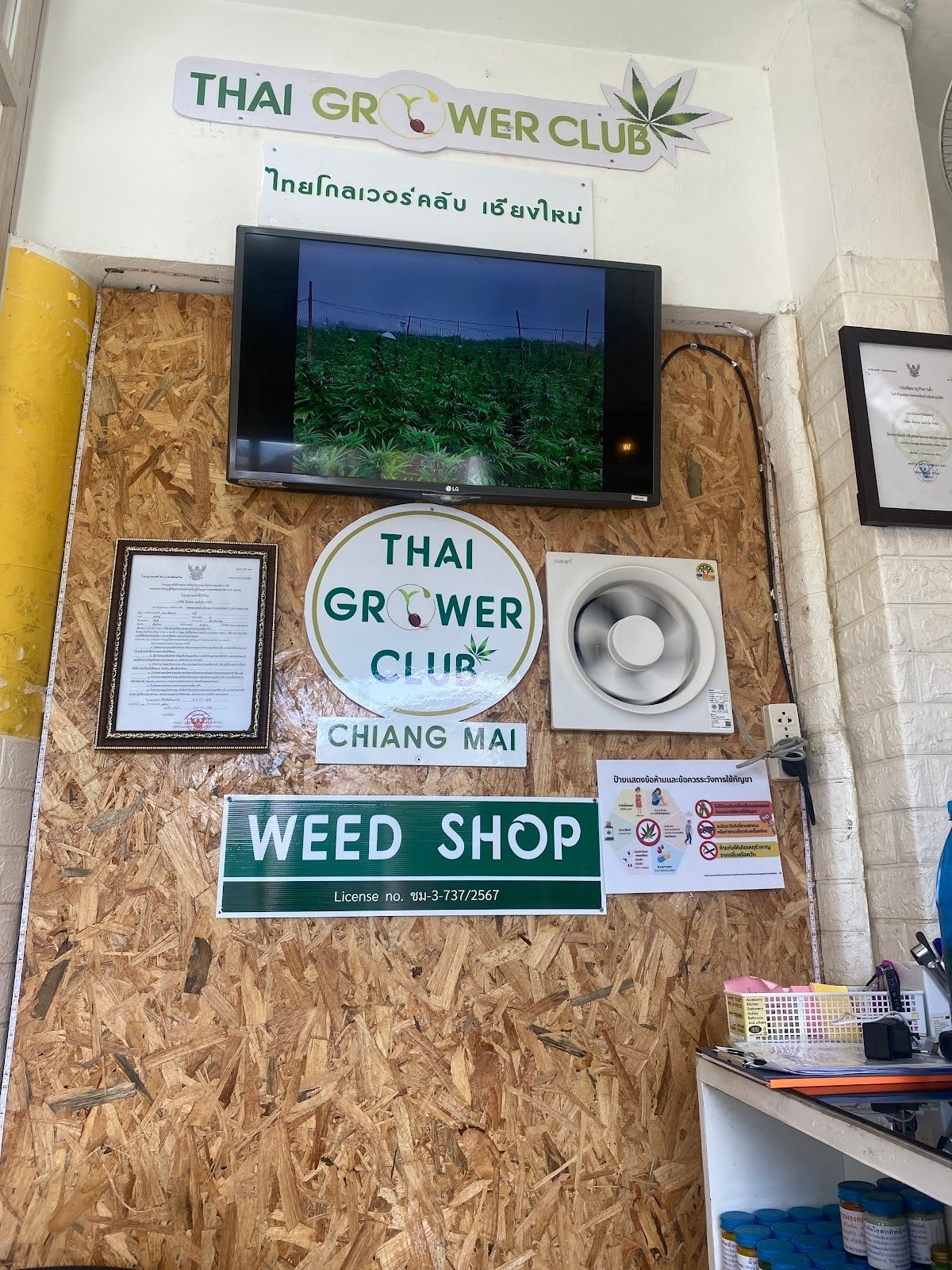 Thai Grower Club Chiang Mai