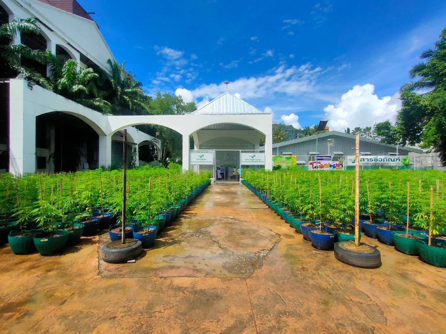 Isarawadee Herbal Health Tourism