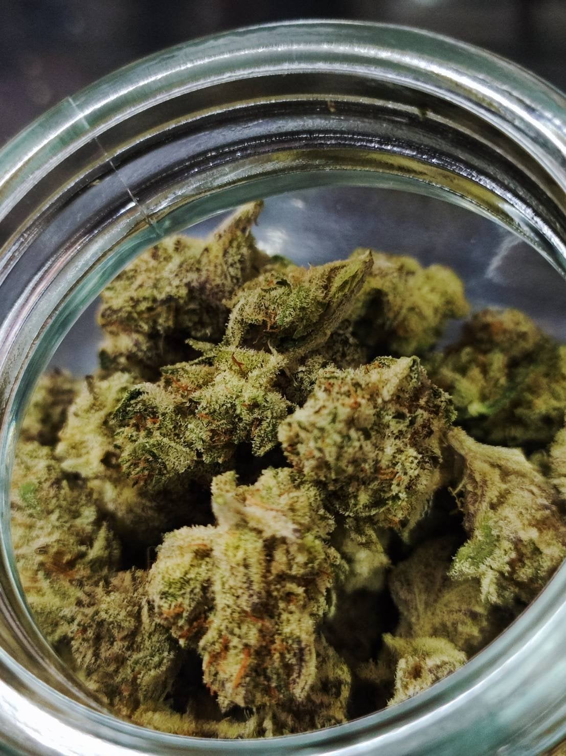 Jaopoganja