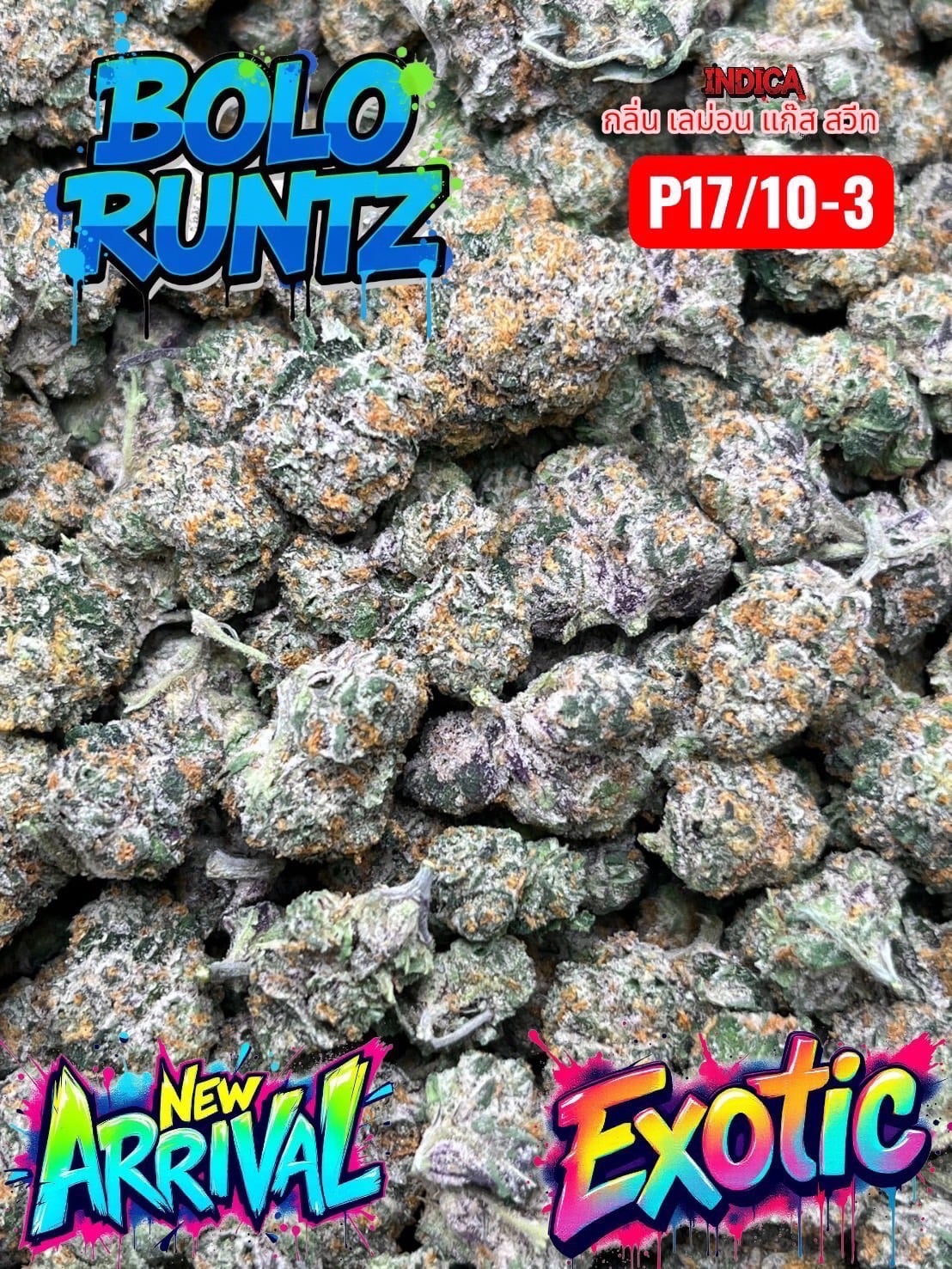 CNN : 420