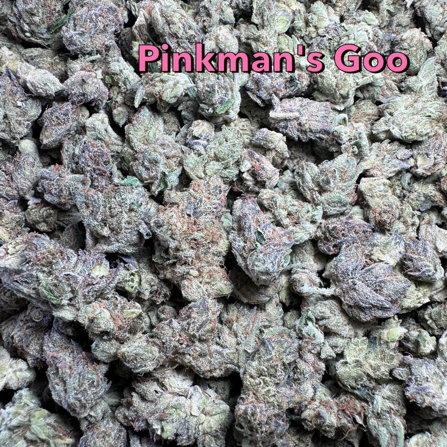 Gangster Shop Cannabis Cafe
