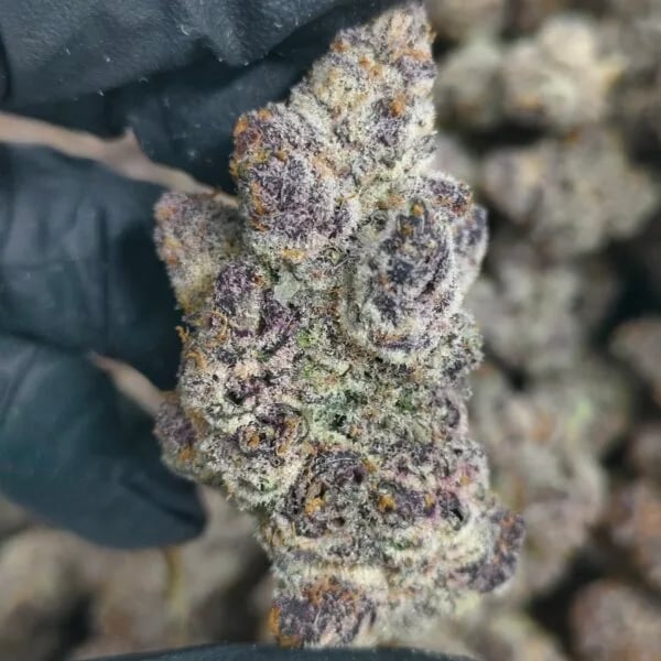 Cannabear