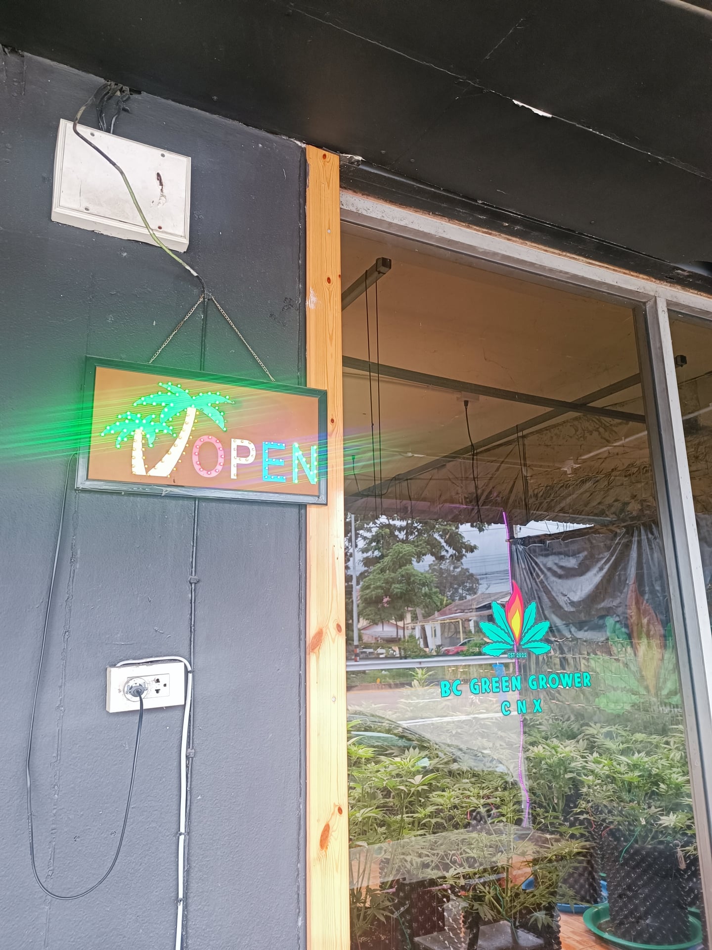 BC Green Grower Cafe