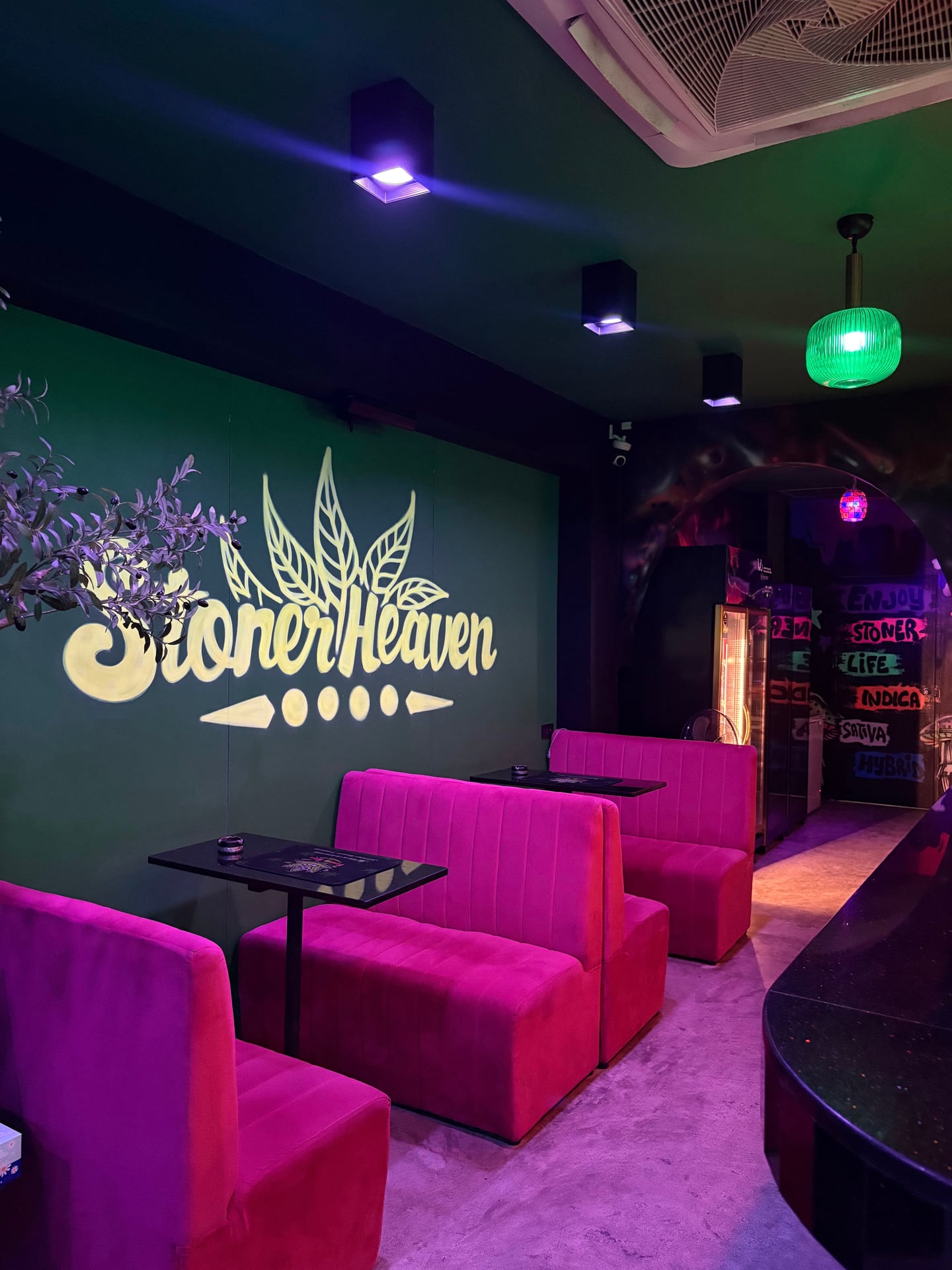 Weed Cafe The Funny Box Cannabis Cafe' Jomtien Beach
