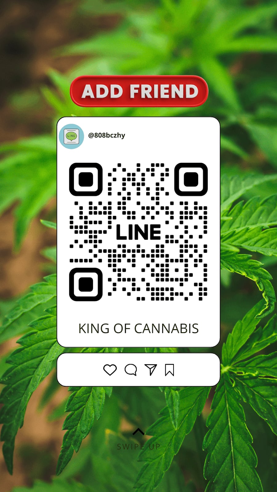 King Of Cannabis
