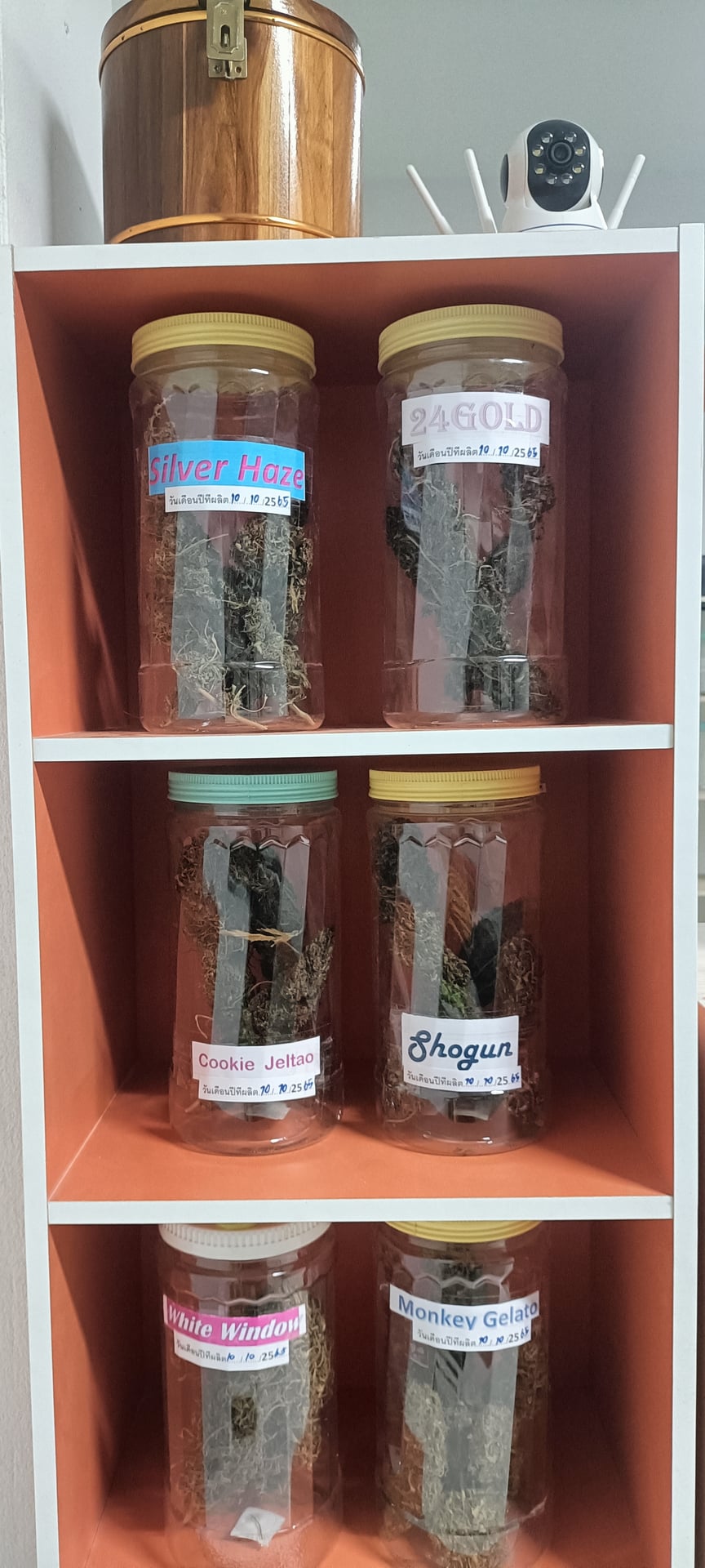 Mhopuech Cannabis