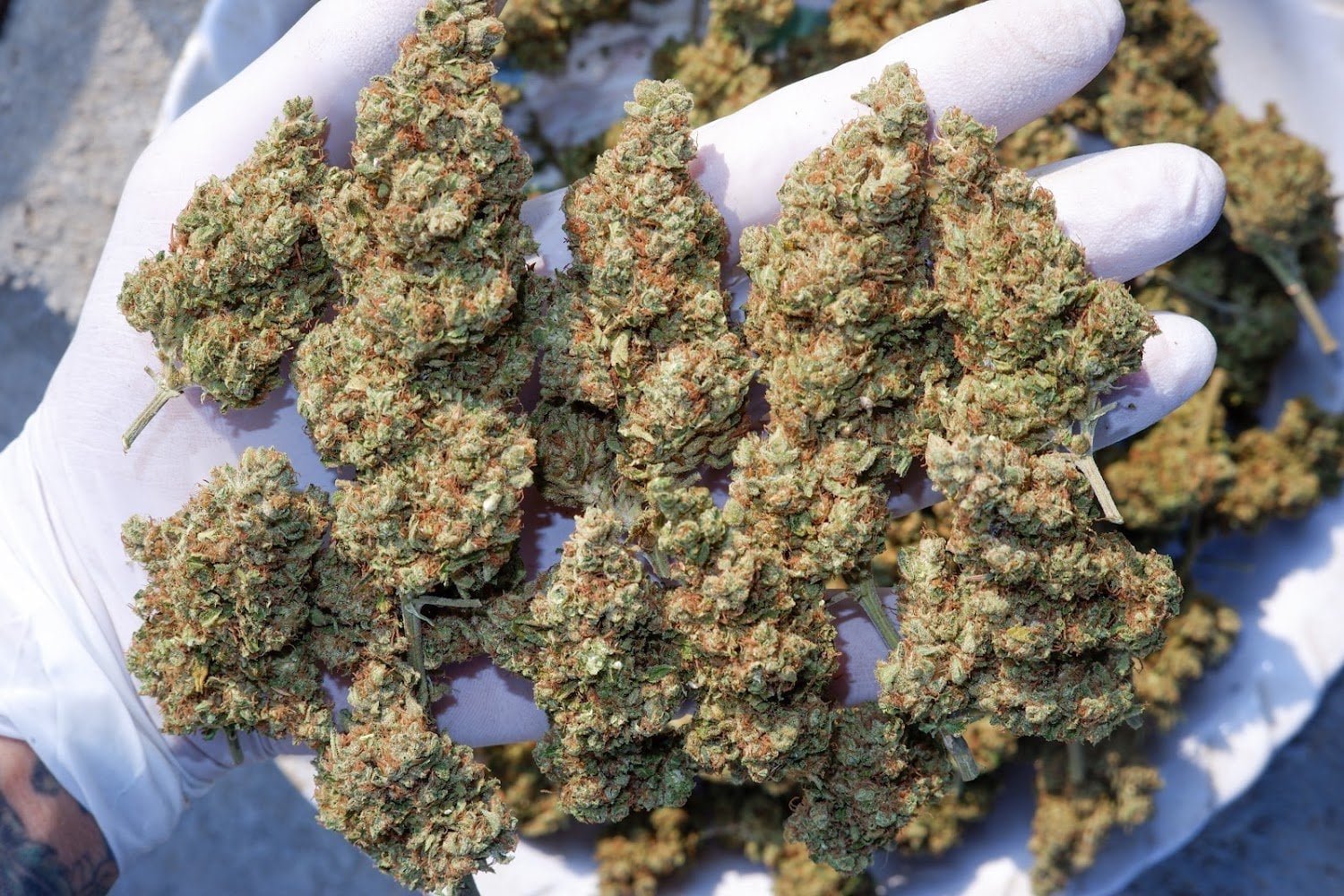Stonery