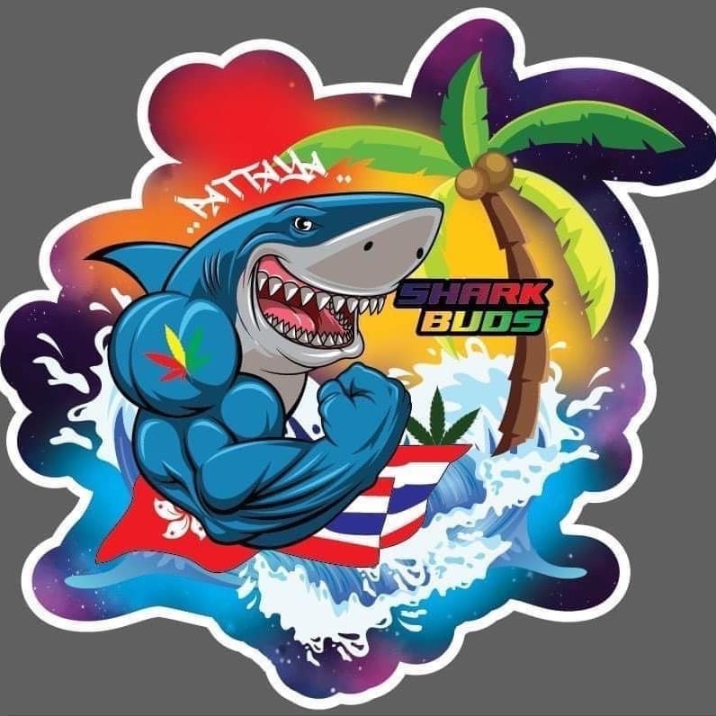 Sharkbuds