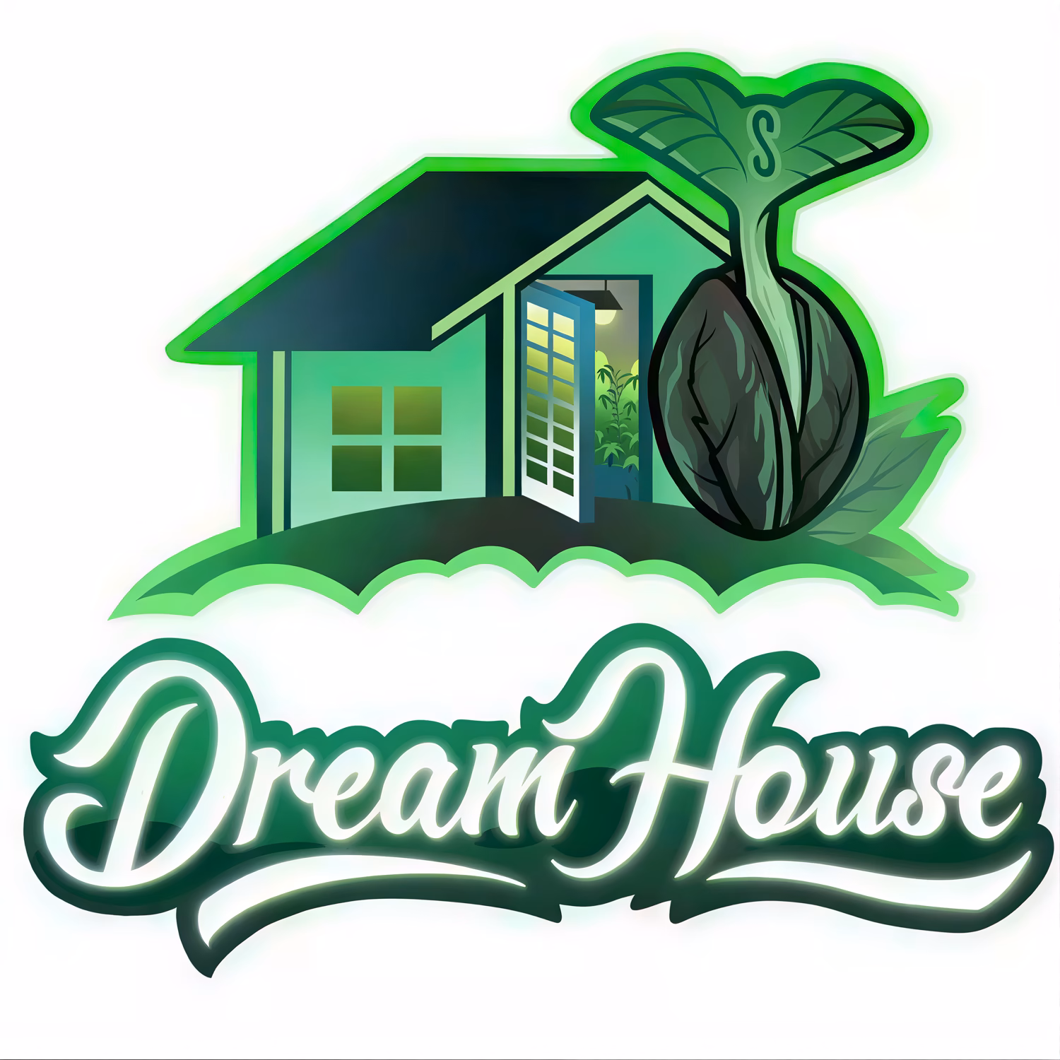 Dream House