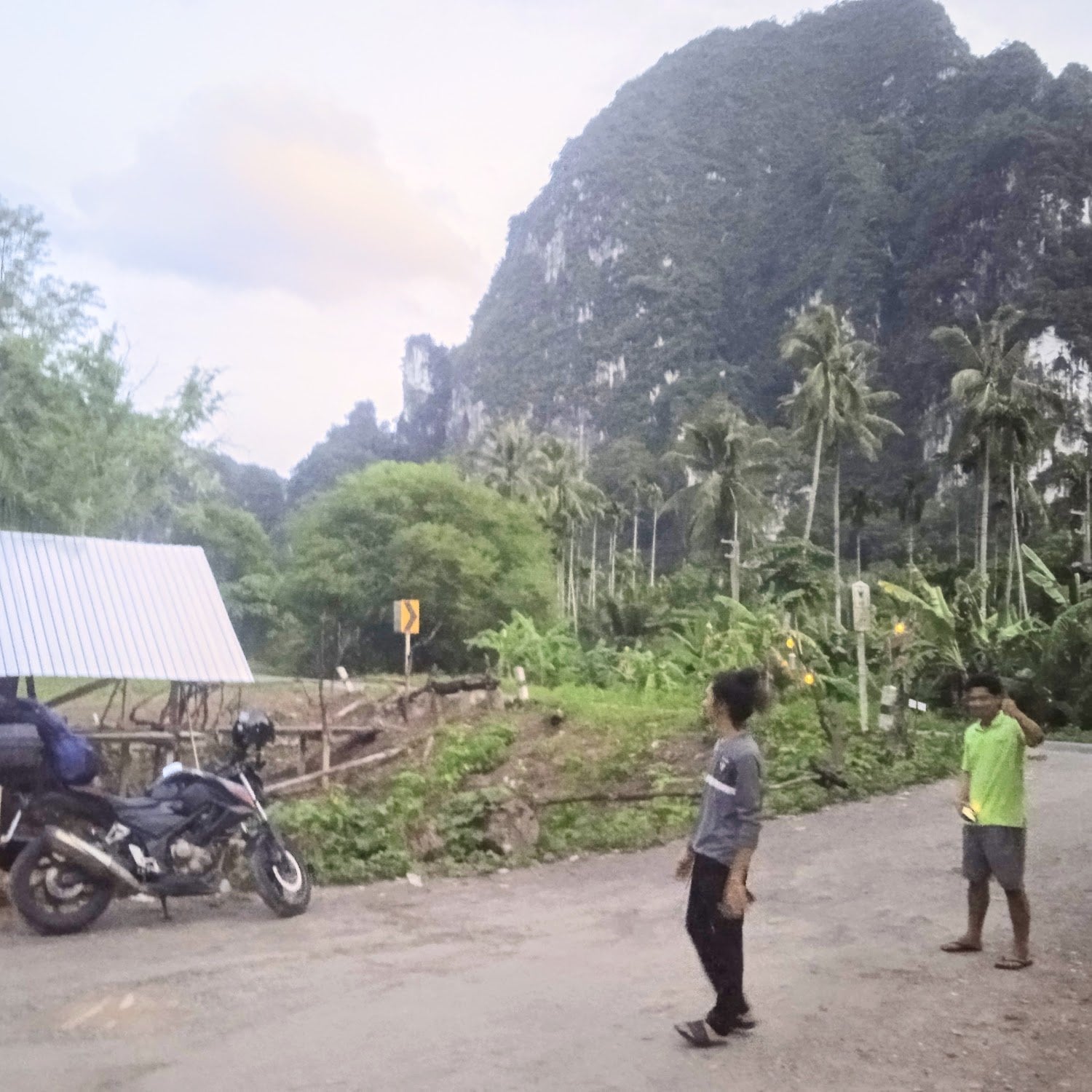 Cannabis Farm KhaoSok88
