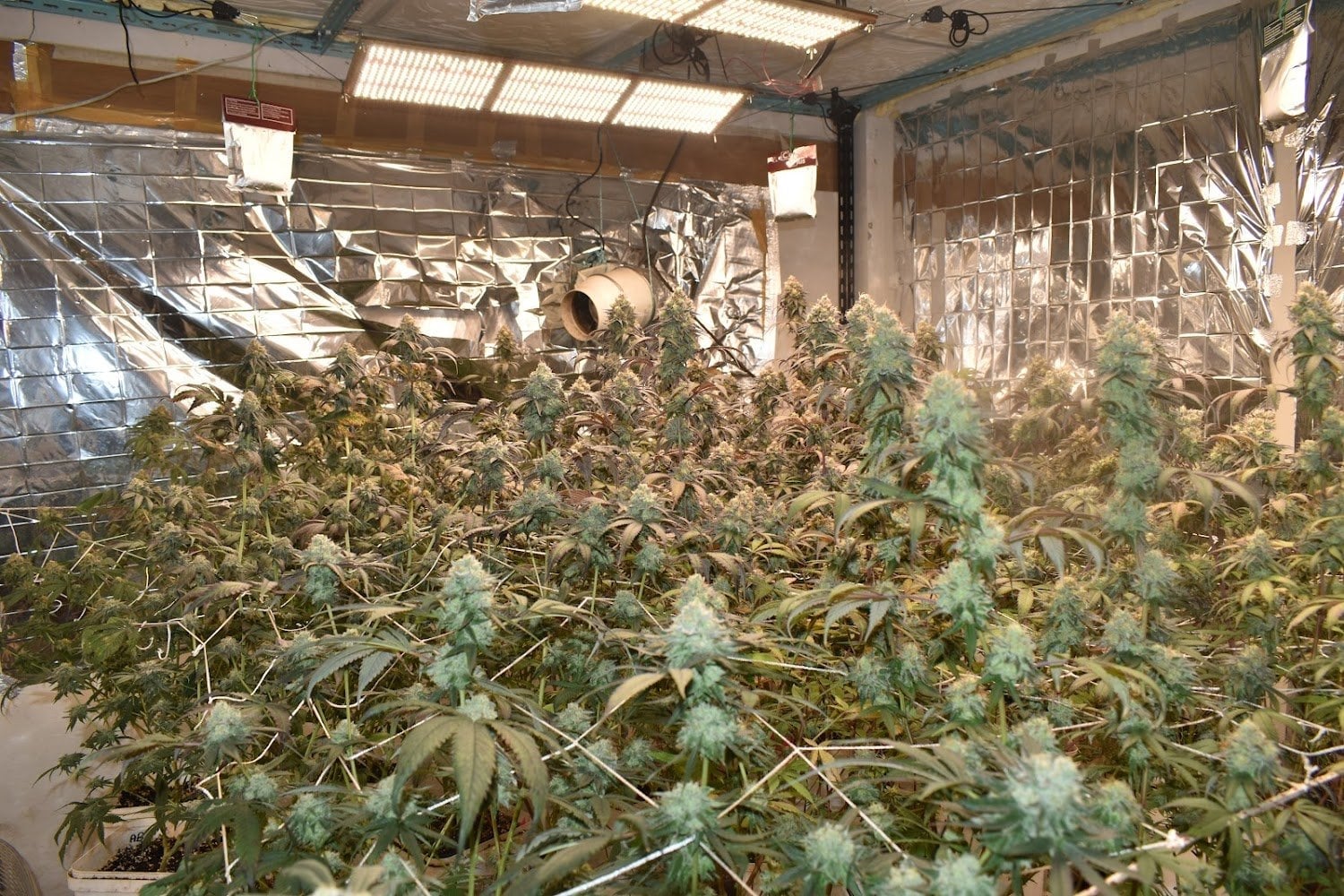 KreTa Farm