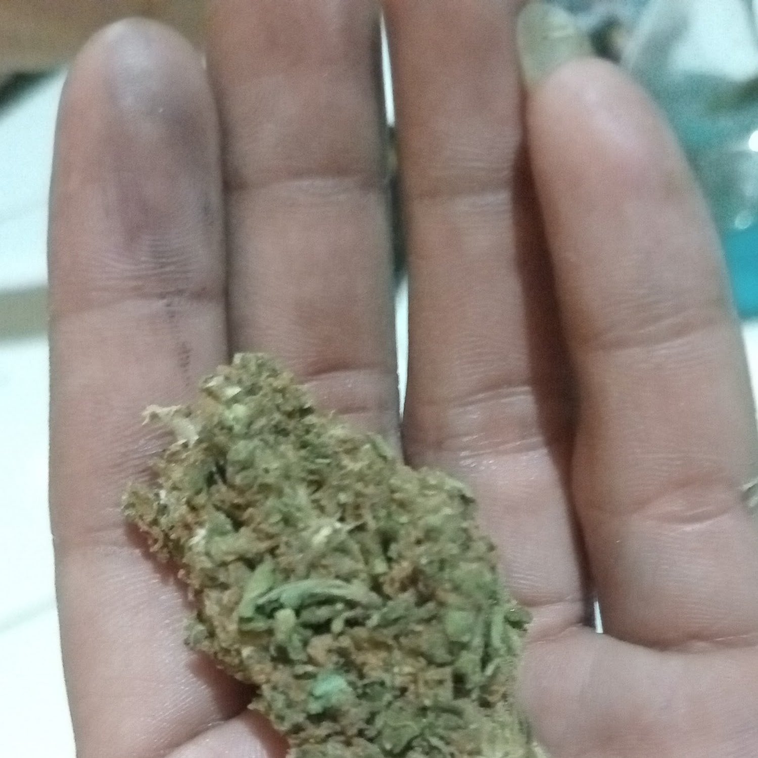 Weed House