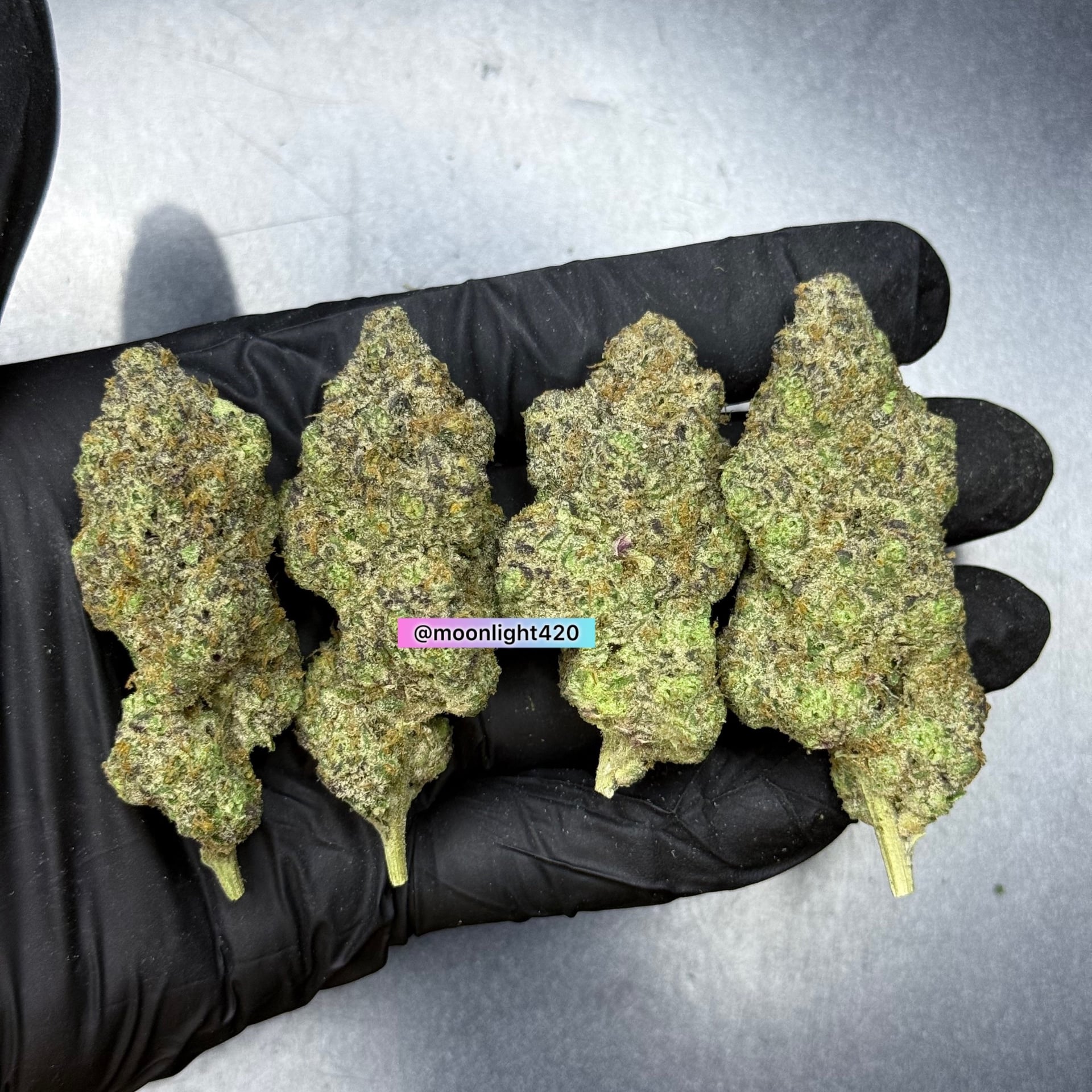 Moonlight420