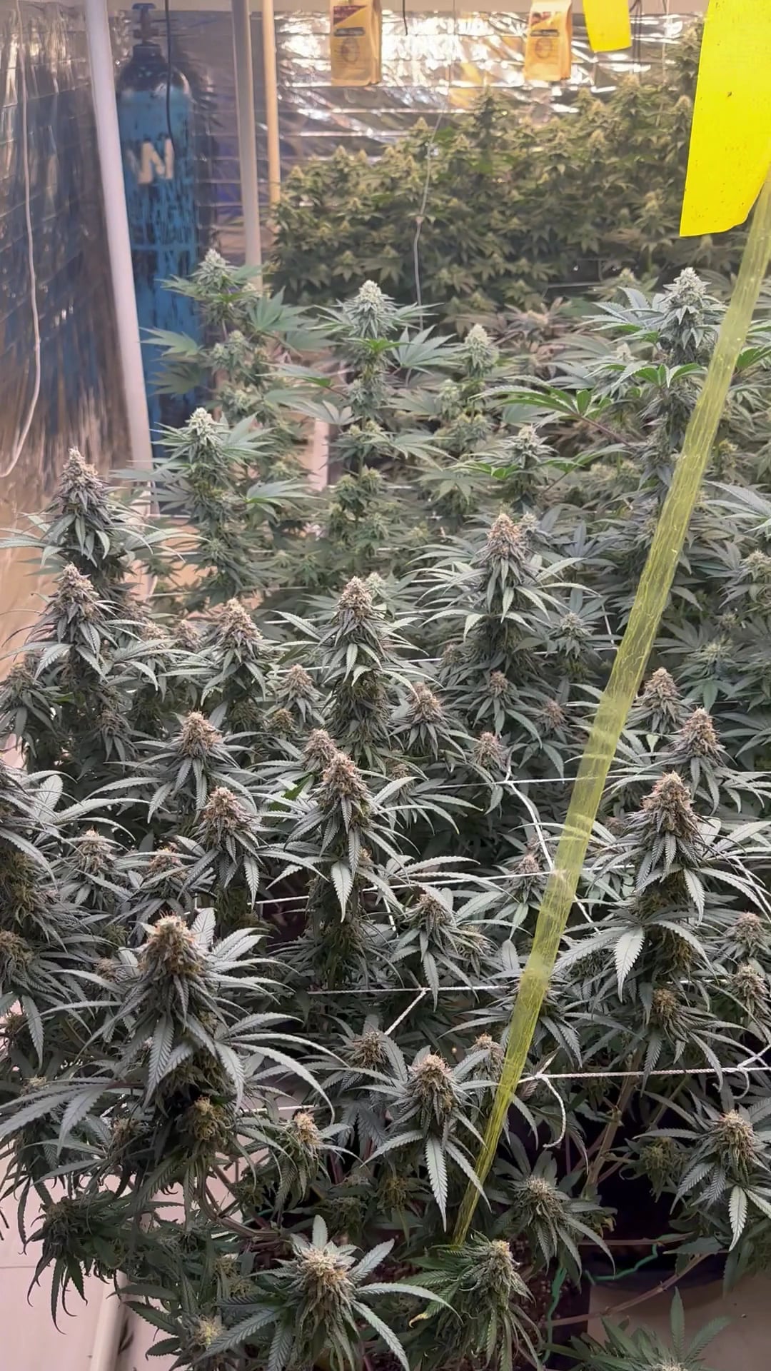 Setthakit Farm